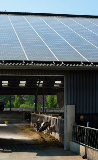 hangar agricole avec panneau solaire
