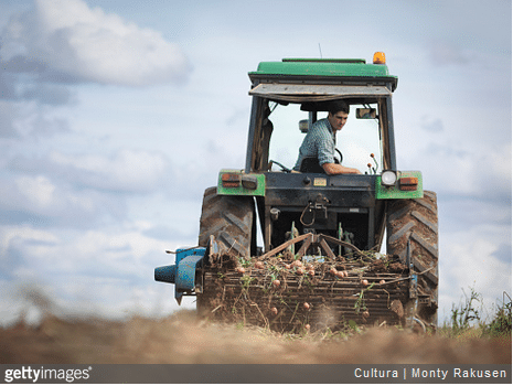 production-agricole