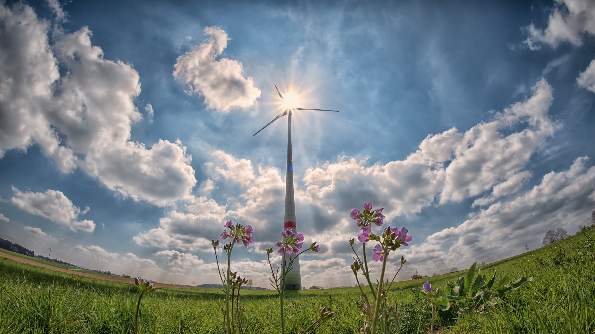 éolienne avec fish eye et herbe