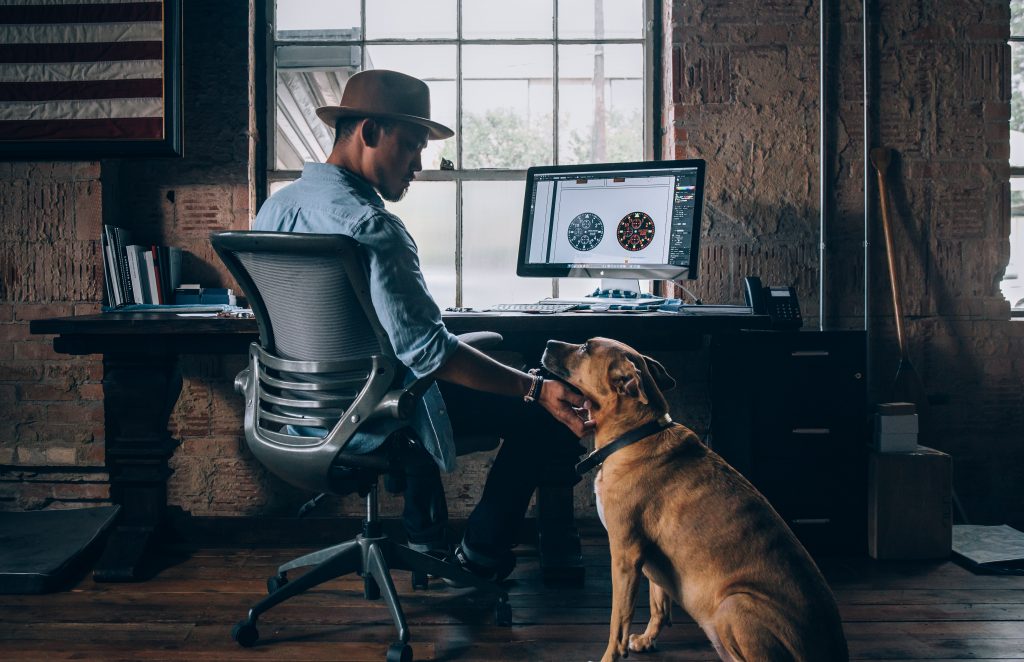 Un chien au travail