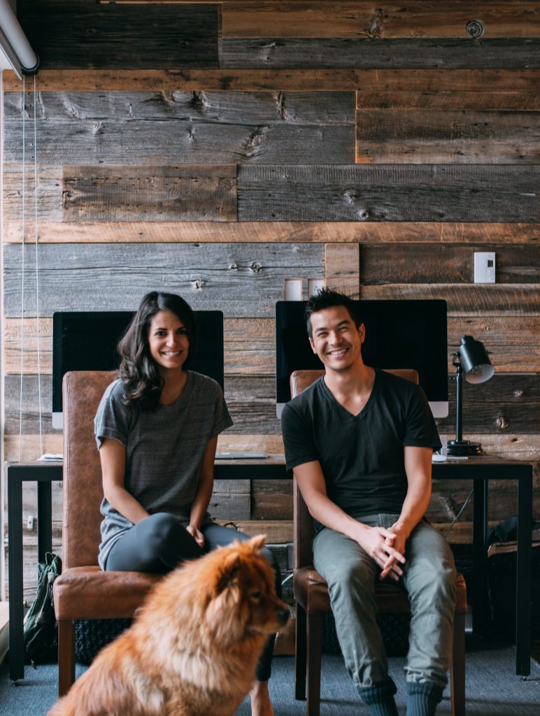 Deux personnes au travail avec leur chien