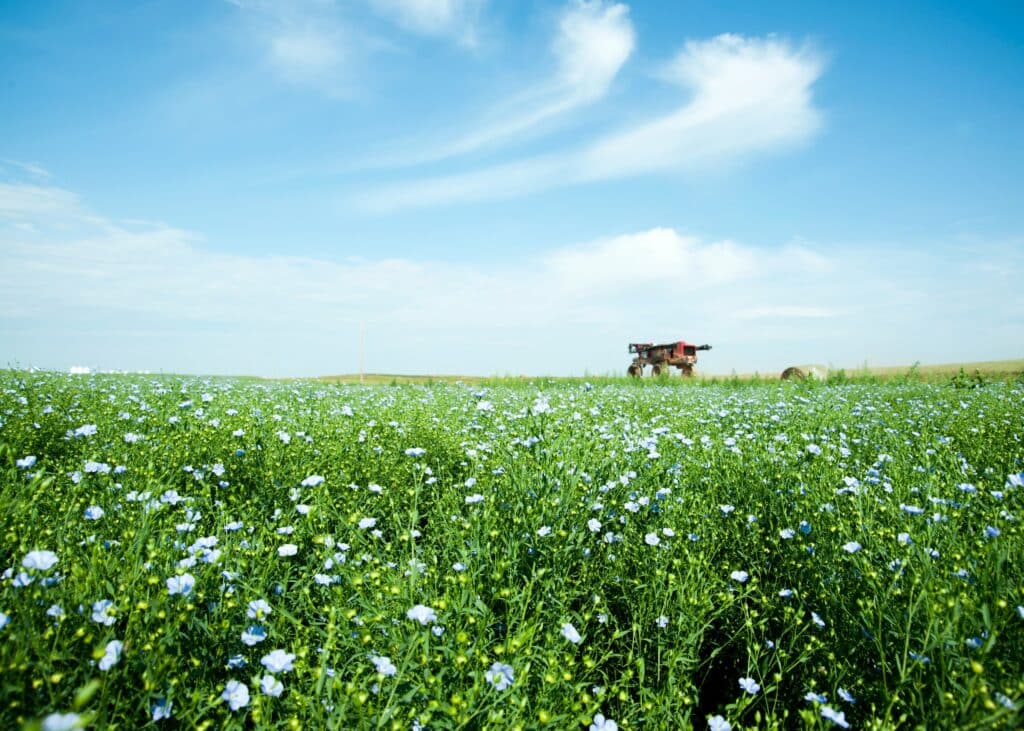 Agriculteurs : comment bien choisir vos produits phytosanitaires ?